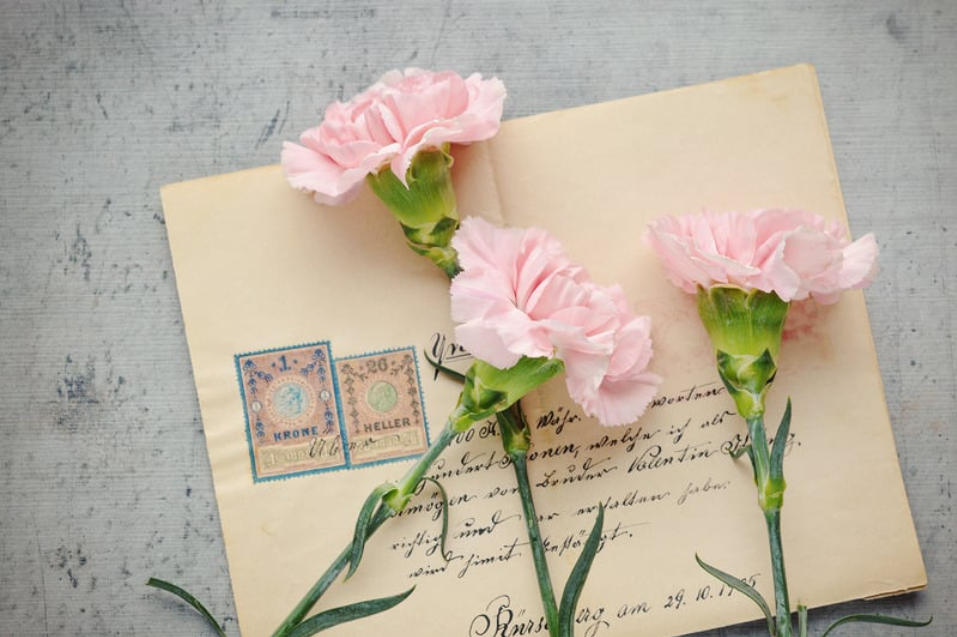 Tres claveles rosas sobre una carta cerrada.